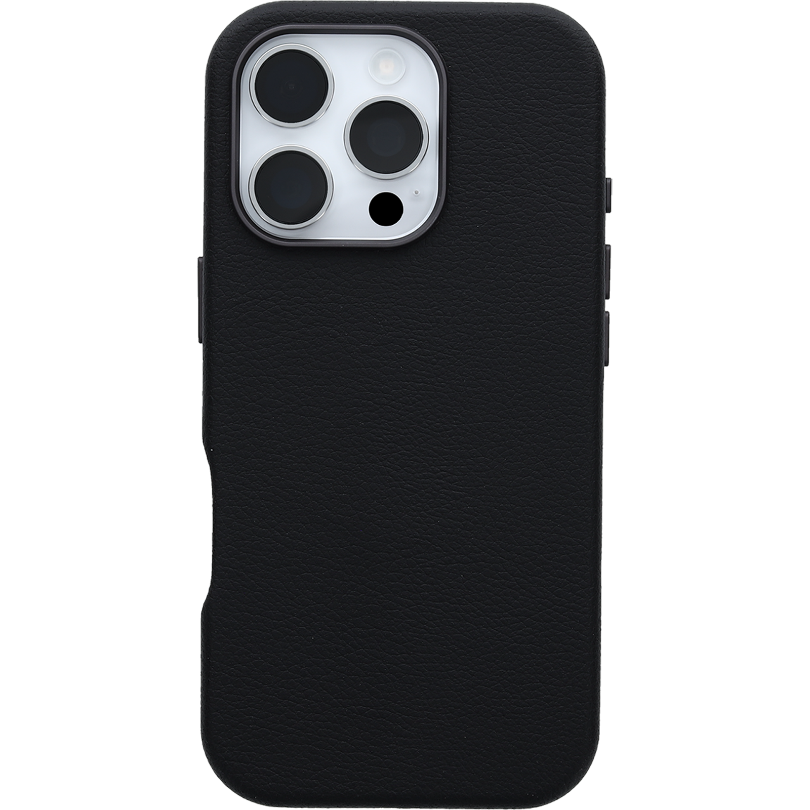 iPhone 16 Pro Symmetry Series Cactus Leather for MagSafe Case - Image 28796