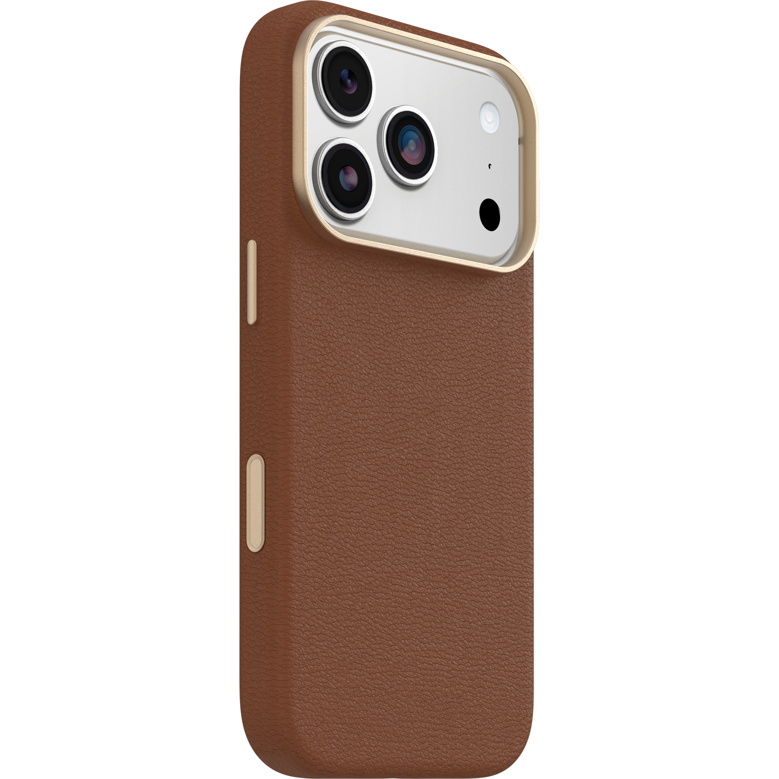 iPhone 17 Pro Symmetry Series Cactus Leather Case - Image 12446