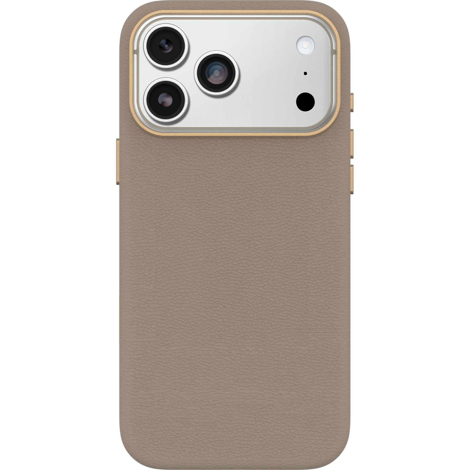 iPhone 17 Pro Max Symmetry Series Cactus Leather Case - Image 12488