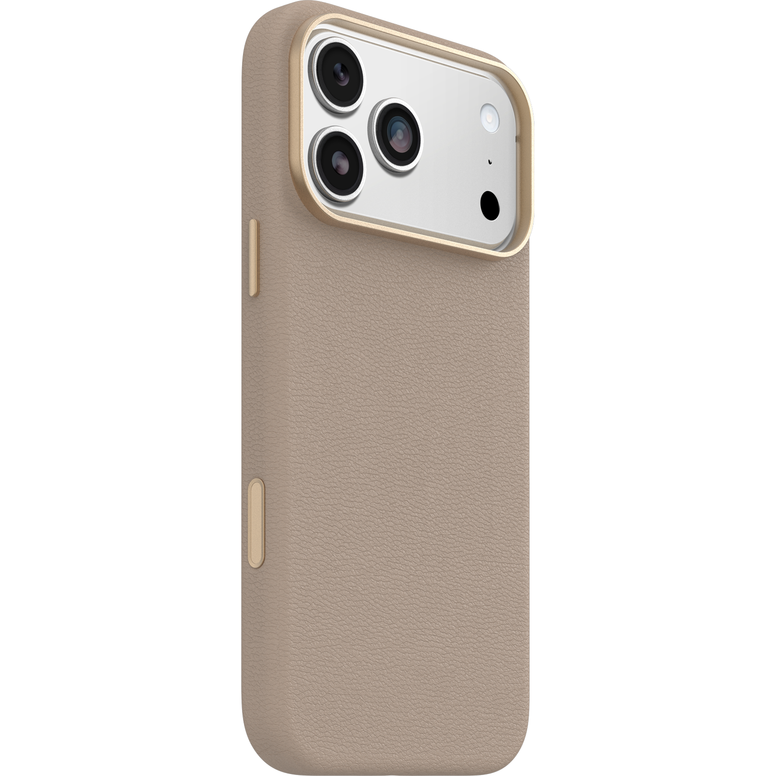 iPhone 17 Pro Max Symmetry Series Cactus Leather Case - Image 12489